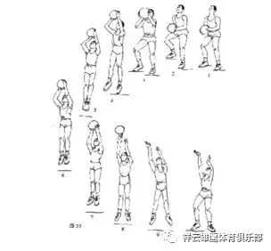 女性篮球运动员适用的特殊训练策略有哪些_0